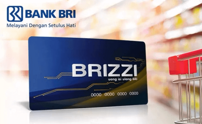 e-Money Brizzi BRI - 400.000